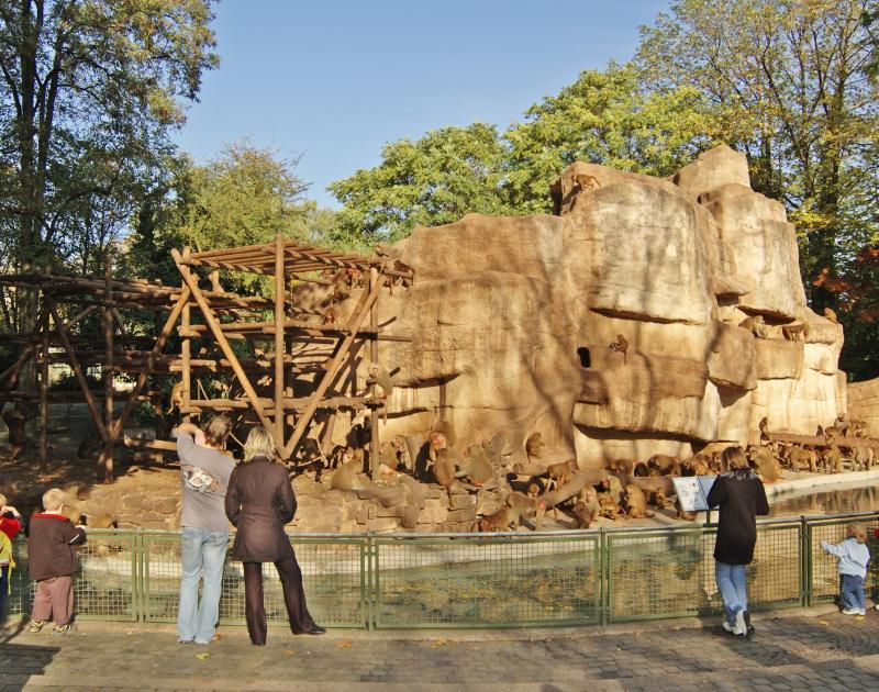 Pavianfelsen Im Kölner Zoo