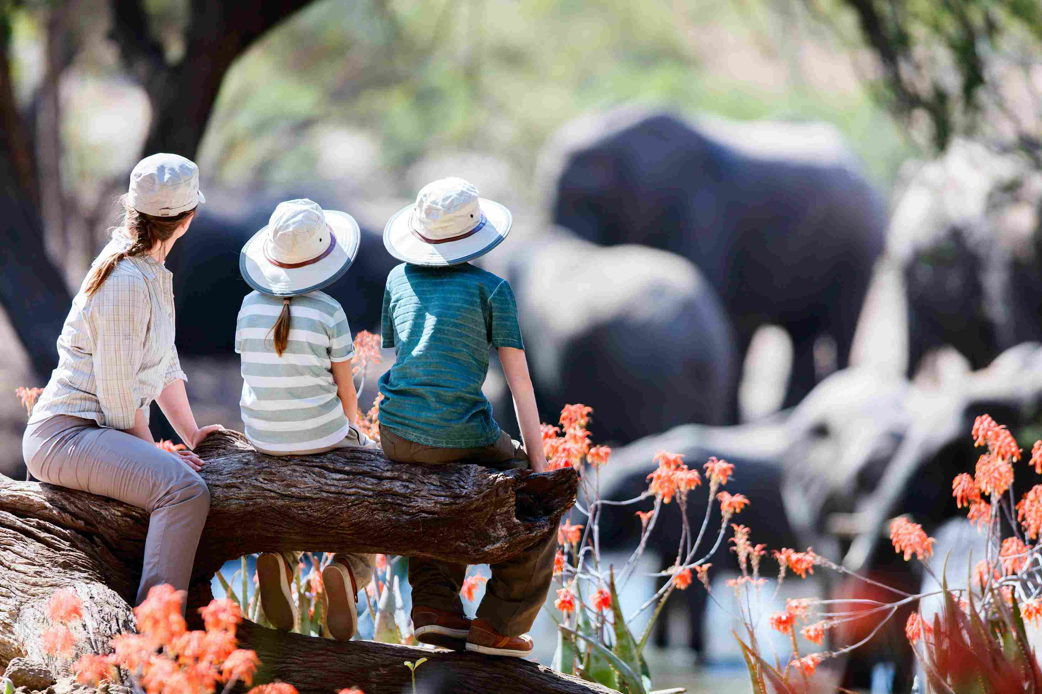 Shutterstock_478144408_11Zon (1)